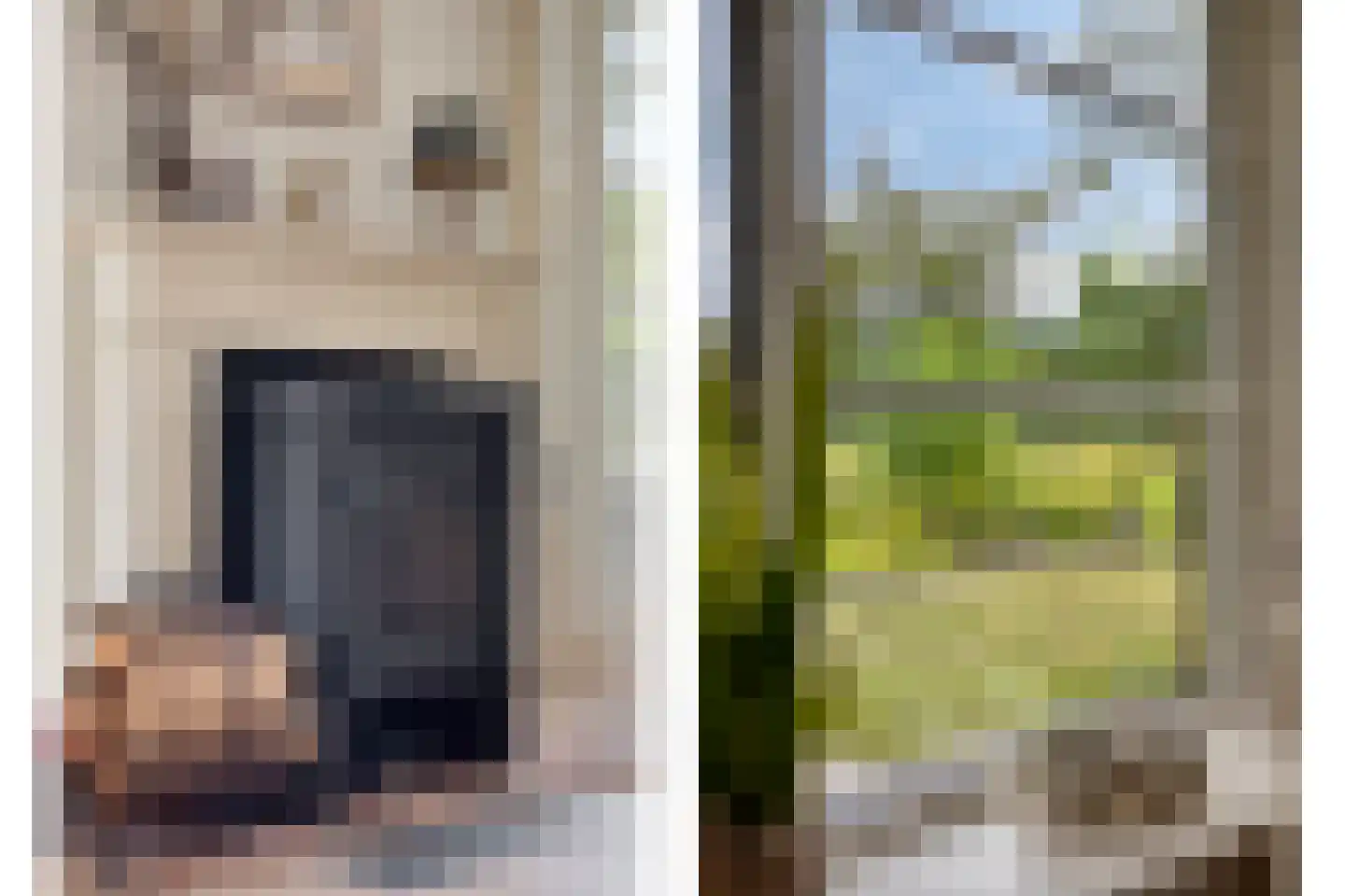 Moolweg 3 Burgh-Haamstede thumbnail 8