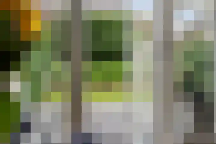 Moonenlaan 10 Hardenberg thumbnail 16