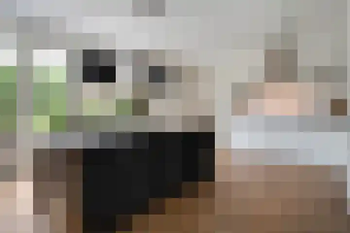 Moonenlaan 10 Hardenberg thumbnail 19
