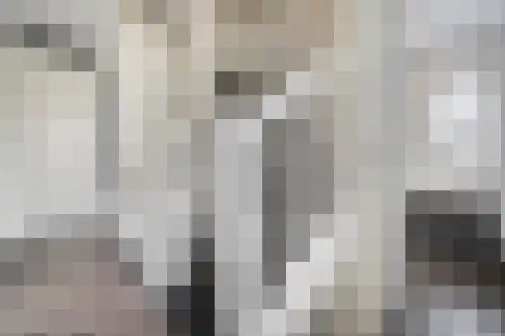 Moonenlaan 10 Hardenberg thumbnail 23