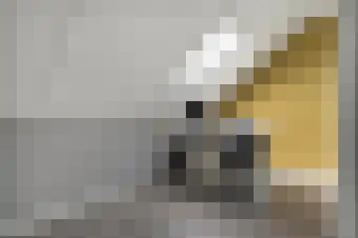 Moonenlaan 10 Hardenberg thumbnail 36