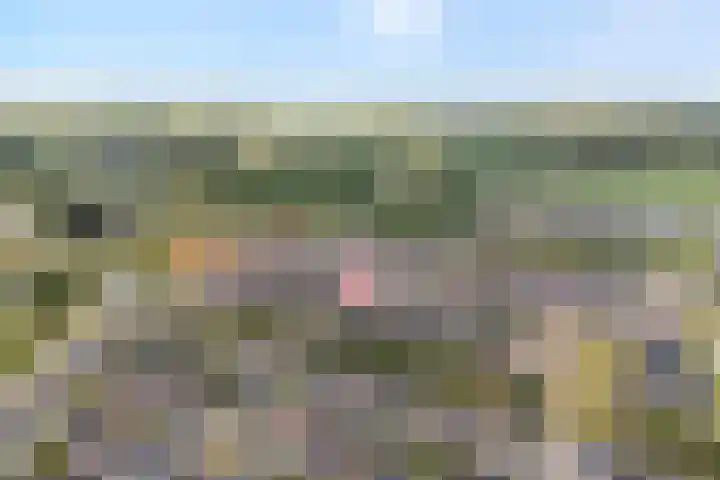 Moonenlaan 10 Hardenberg thumbnail 4
