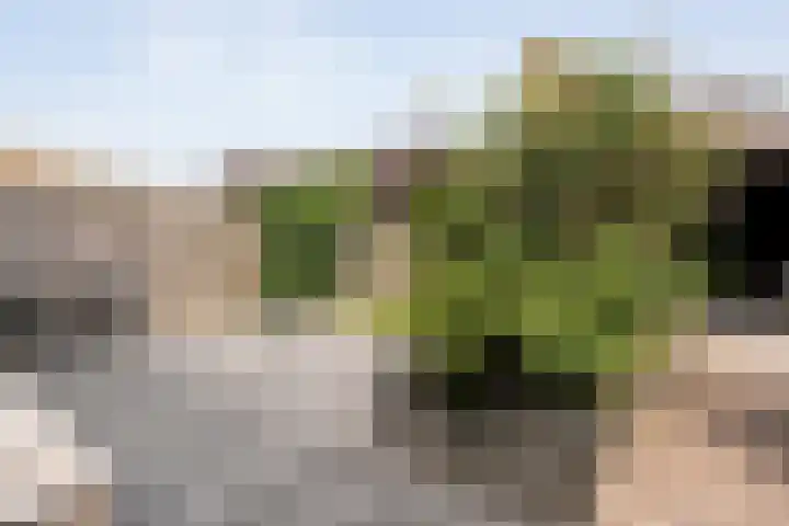 Moonenlaan 10 Hardenberg thumbnail 40