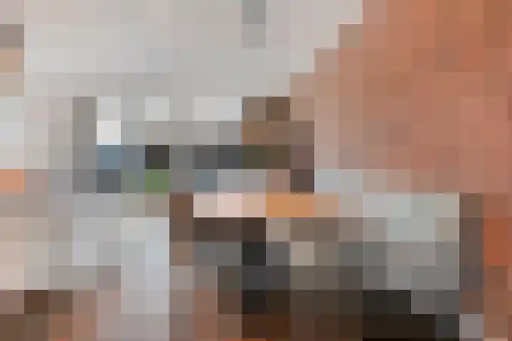 Moonenlaan 108 Hardenberg thumbnail 13