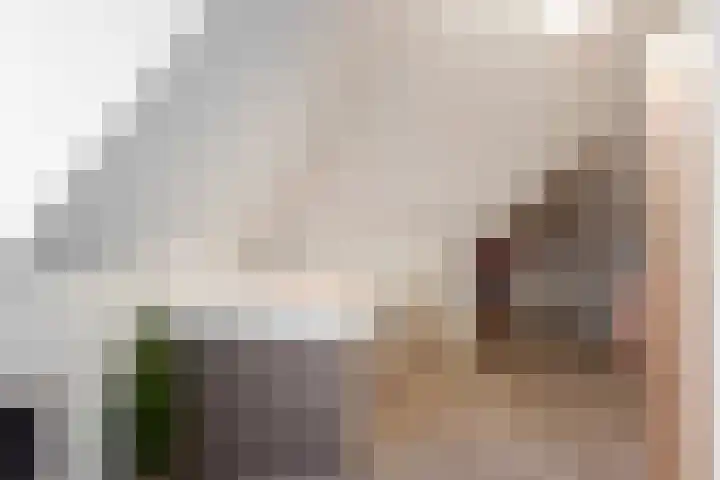 Moonenlaan 108 Hardenberg thumbnail 34