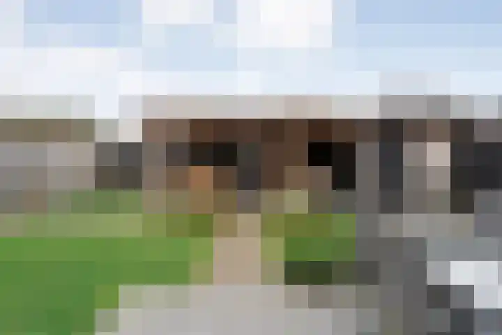Moonenlaan 108 Hardenberg thumbnail 37