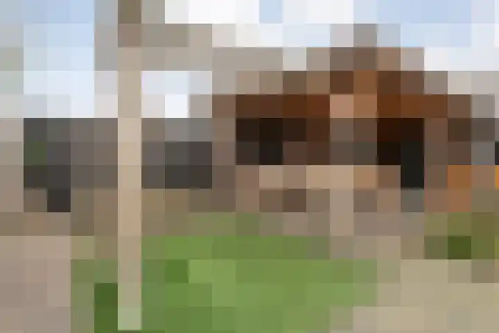 Moonenlaan 108 Hardenberg thumbnail 40