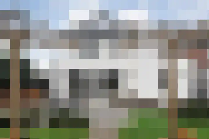 Moonenlaan 108 Hardenberg thumbnail 43