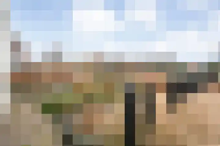 Moonenlaan 108 Hardenberg thumbnail 46