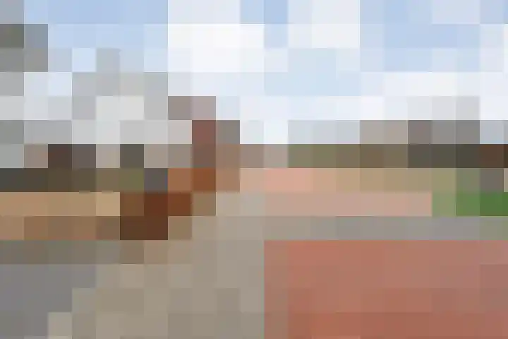 Moonenlaan 108 Hardenberg thumbnail 47