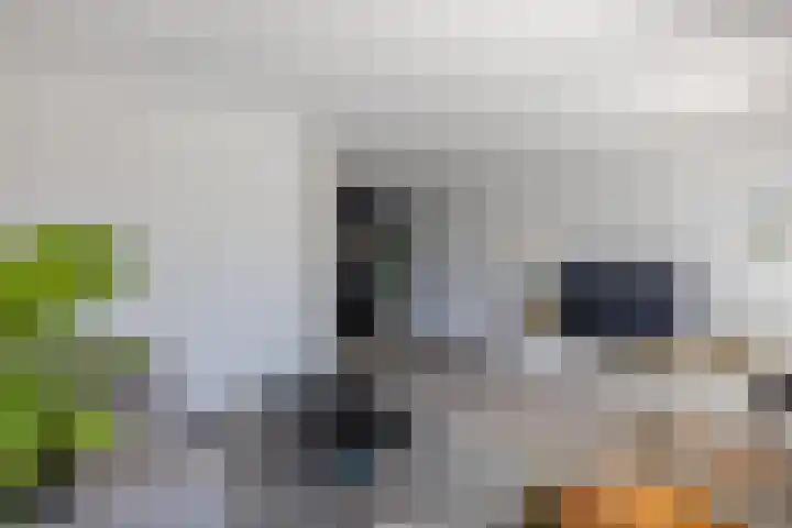 Moonenlaan 16 Hardenberg thumbnail 12