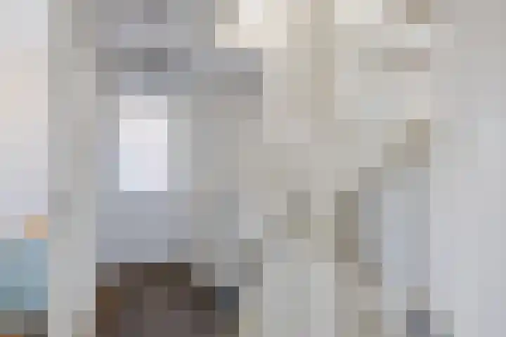 Moonenlaan 16 Hardenberg thumbnail 31