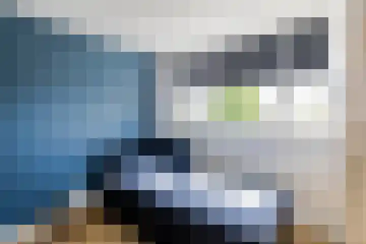 Moonenlaan 16 Hardenberg thumbnail 34