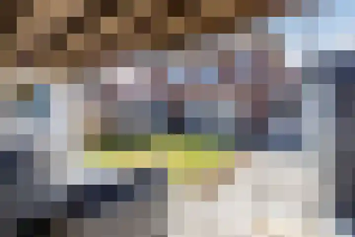 Moonenlaan 16 Hardenberg thumbnail 44