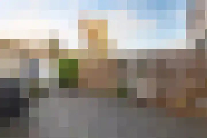 Moonenlaan 16 Hardenberg thumbnail 48