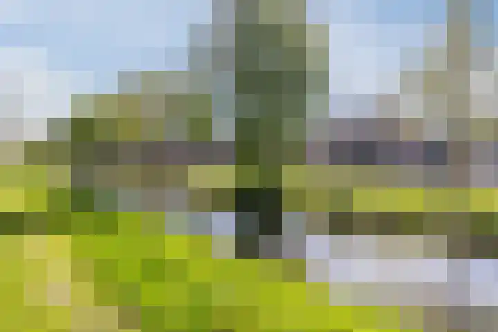 Moonenlaan 16 Hardenberg thumbnail 7