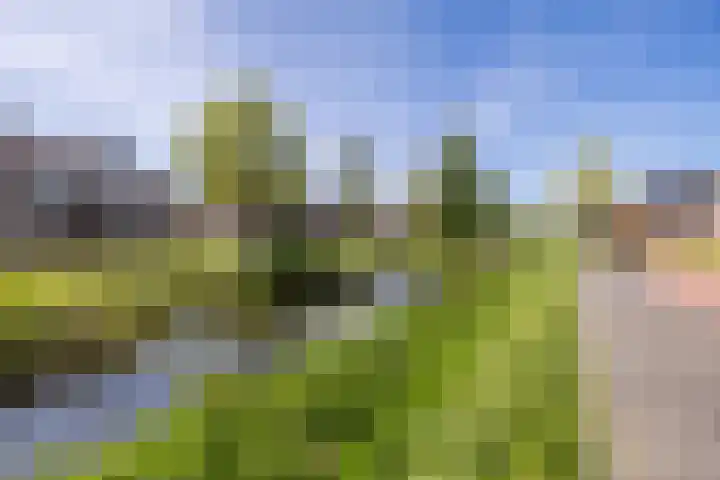Moonenlaan 16 Hardenberg thumbnail 8