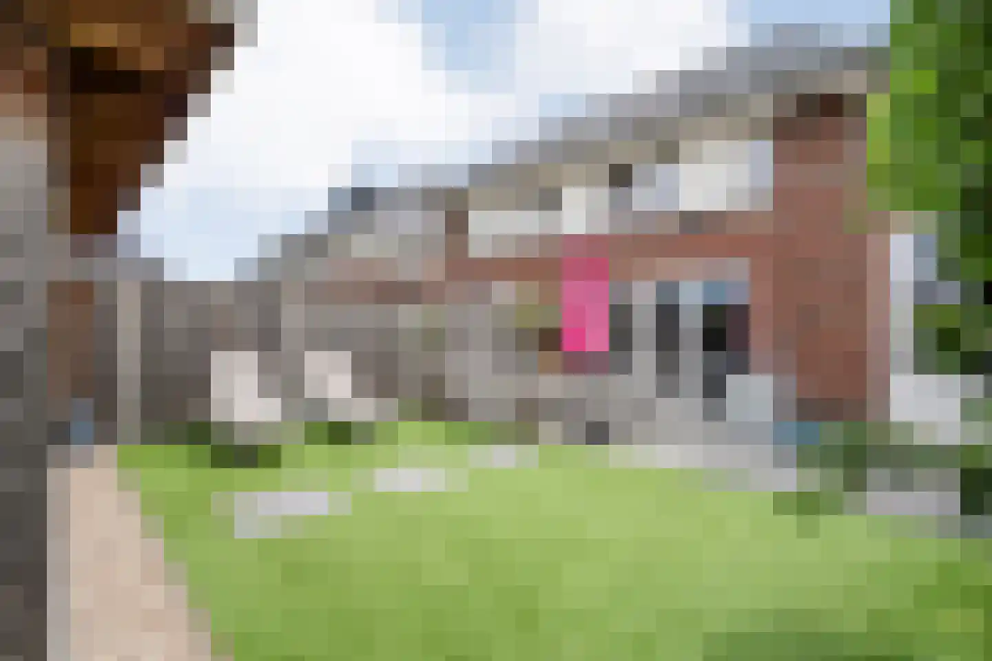 Moonenlaan 180 Hardenberg thumbnail 37