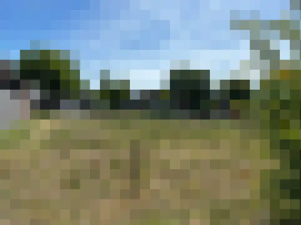 Moonenlaan 194 Hardenberg thumbnail 10