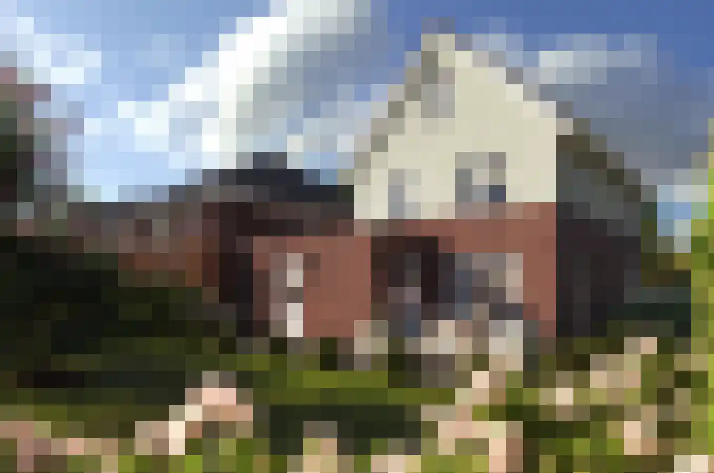 Moonenlaan 194 Hardenberg foto 3