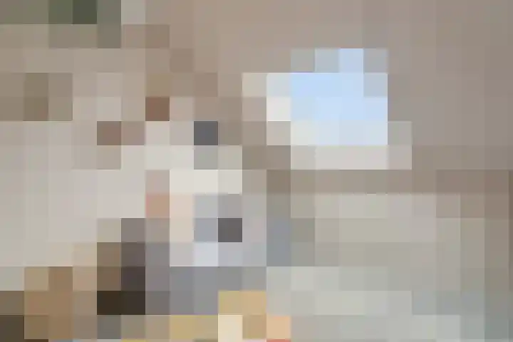 Moonenlaan 24 Hardenberg thumbnail 29