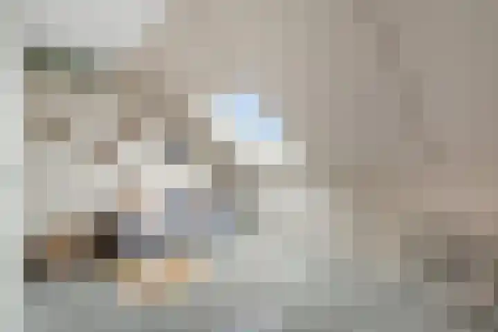 Moonenlaan 24 Hardenberg thumbnail 30