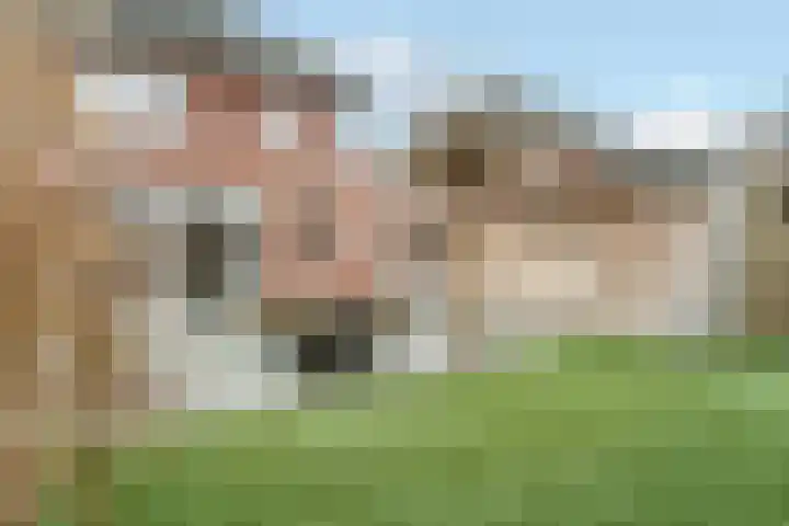 Moonenlaan 24 Hardenberg thumbnail 32
