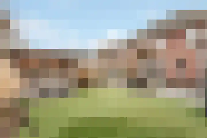 Moonenlaan 24 Hardenberg thumbnail 33