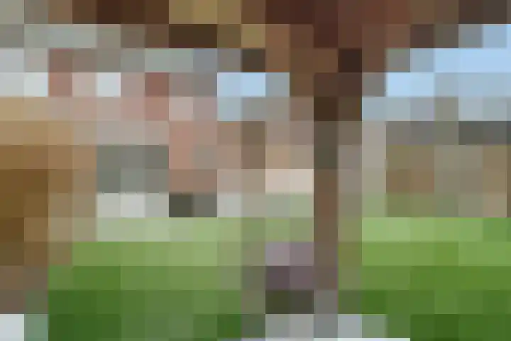 Moonenlaan 24 Hardenberg thumbnail 35