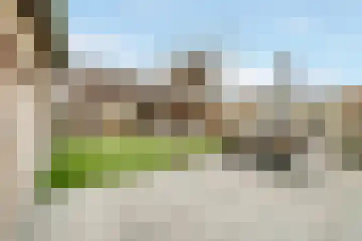 Moonenlaan 24 Hardenberg thumbnail 36