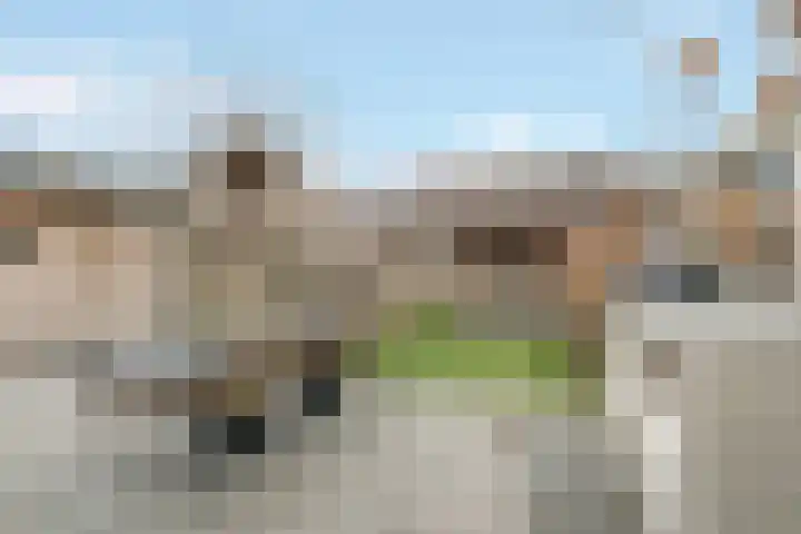 Moonenlaan 24 Hardenberg thumbnail 38