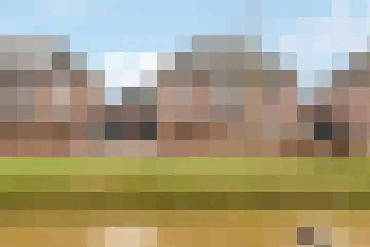 Moonenlaan 24 Hardenberg thumbnail 5