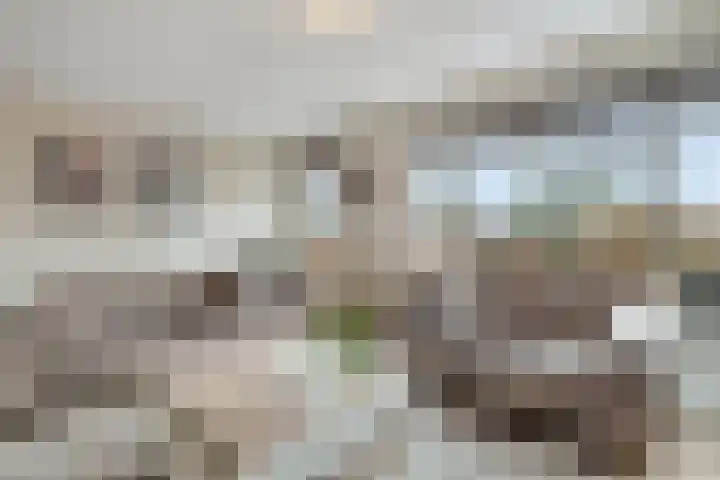 Moonenlaan 24 Hardenberg thumbnail 9