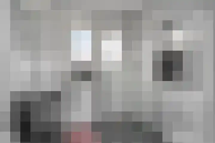 Moonenlaan 34 Hardenberg thumbnail 23