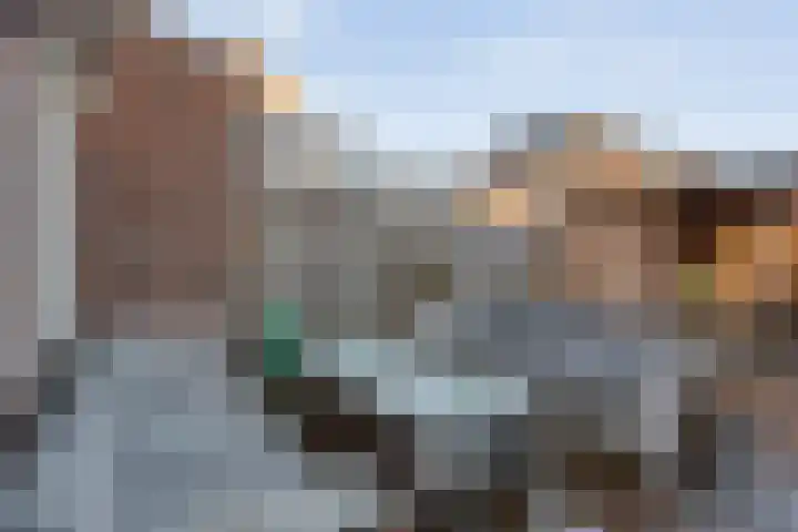 Moonenlaan 34 Hardenberg thumbnail 31