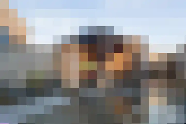 Moonenlaan 34 Hardenberg thumbnail 33