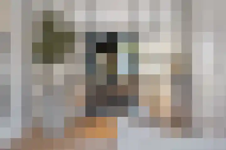 Moonenlaan 66 Hardenberg thumbnail 13