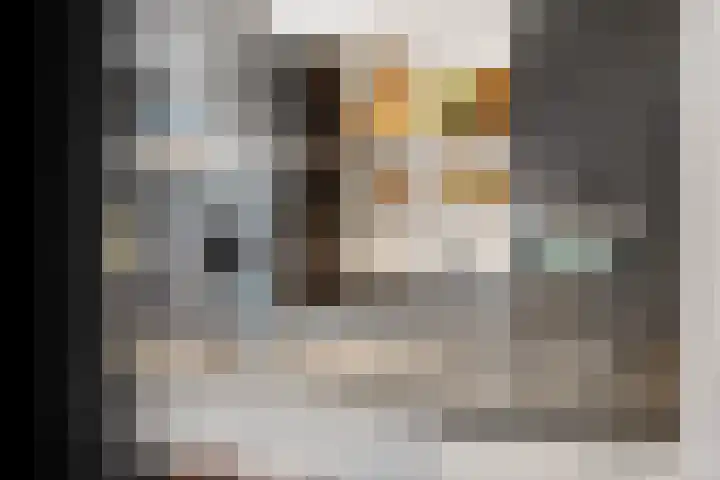 Moonenlaan 66 Hardenberg thumbnail 15