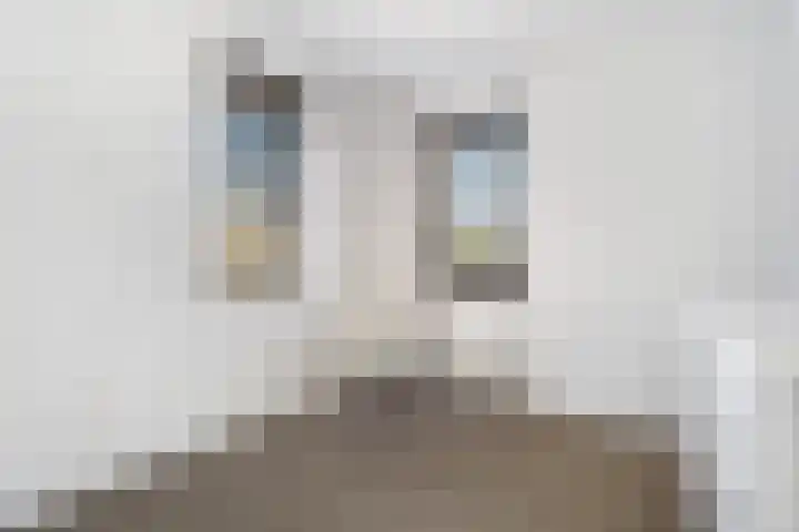 Moonenlaan 66 Hardenberg thumbnail 29
