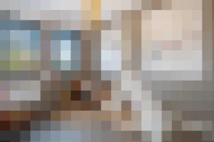 Moonenlaan 66 Hardenberg thumbnail 31
