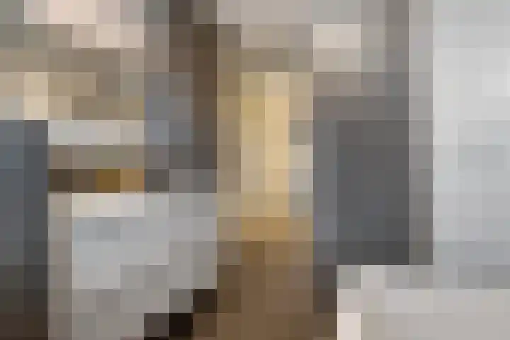 Moonenlaan 66 Hardenberg thumbnail 34