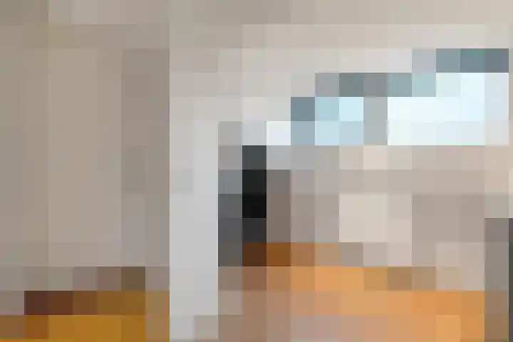 Moonenlaan 66 Hardenberg thumbnail 38
