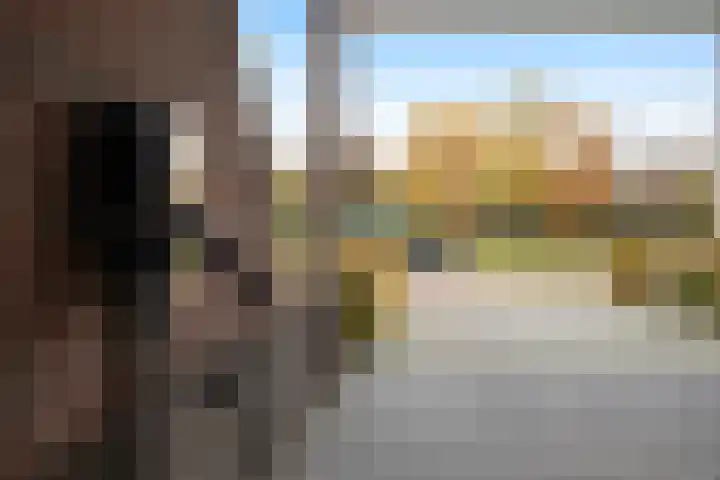 Moonenlaan 66 Hardenberg thumbnail 4