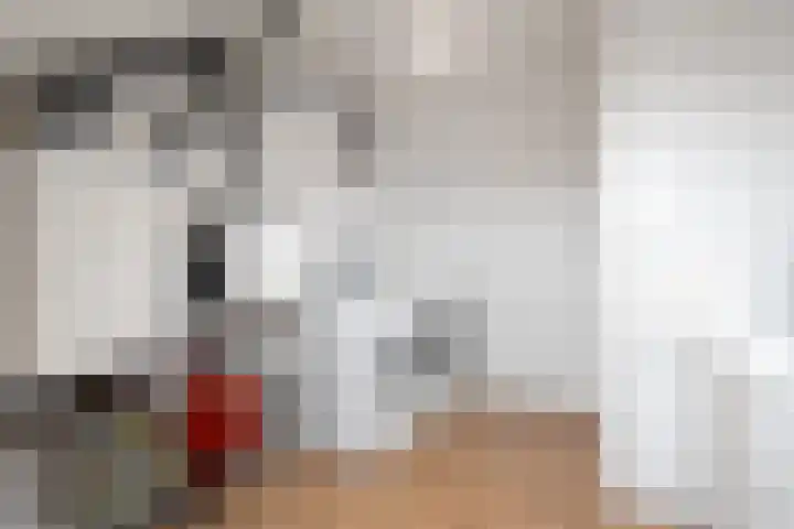 Moonenlaan 66 Hardenberg thumbnail 43