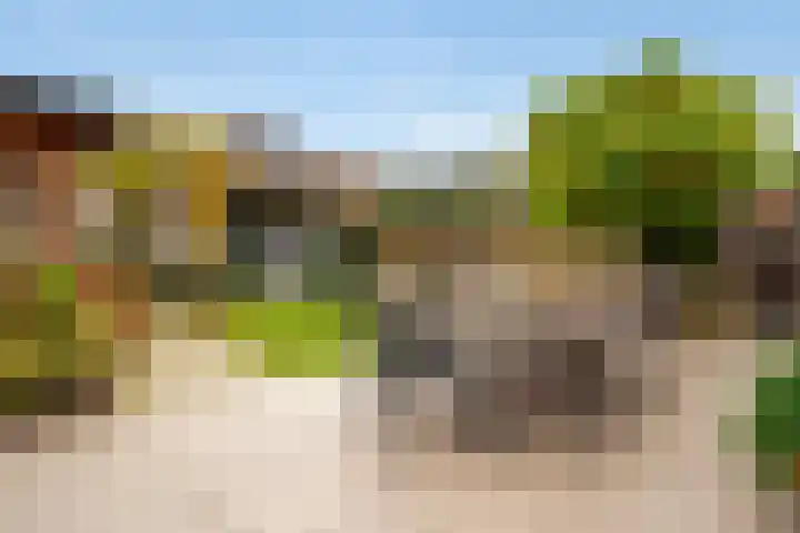 Moonenlaan 66 Hardenberg thumbnail 45
