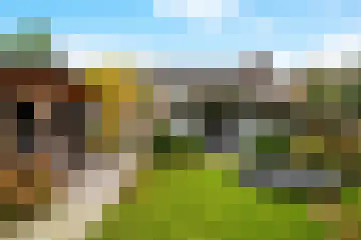 Moonenlaan 66 Hardenberg thumbnail 46