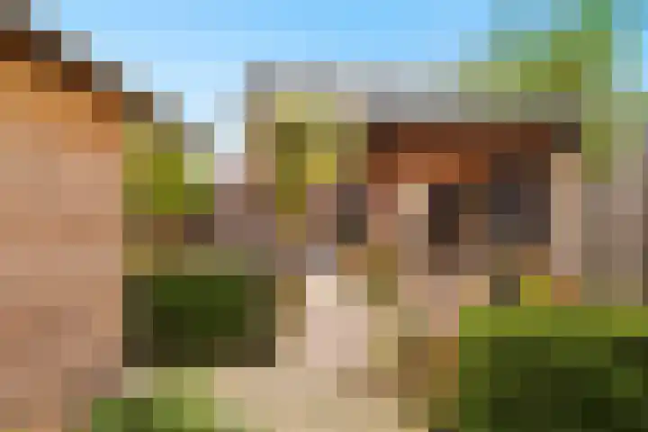 Moonenlaan 66 Hardenberg thumbnail 49