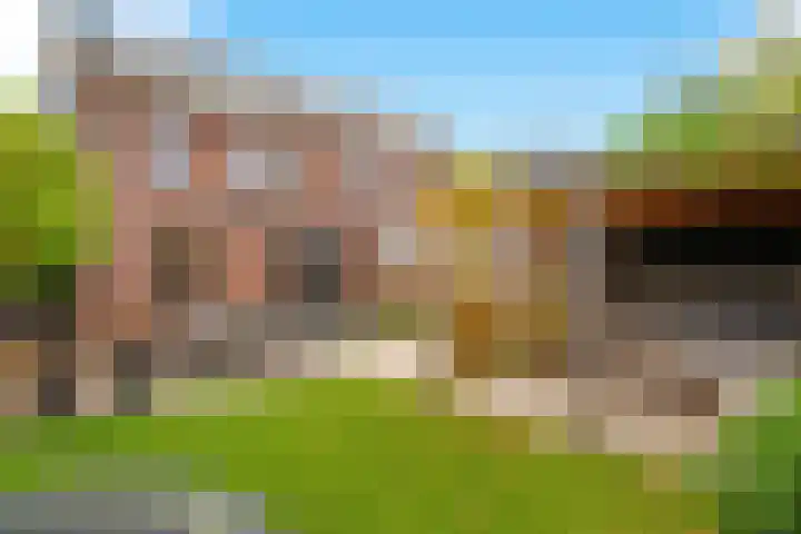 Moonenlaan 66 Hardenberg thumbnail 50