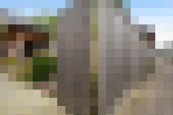 Moonenlaan 66 Hardenberg thumbnail 51