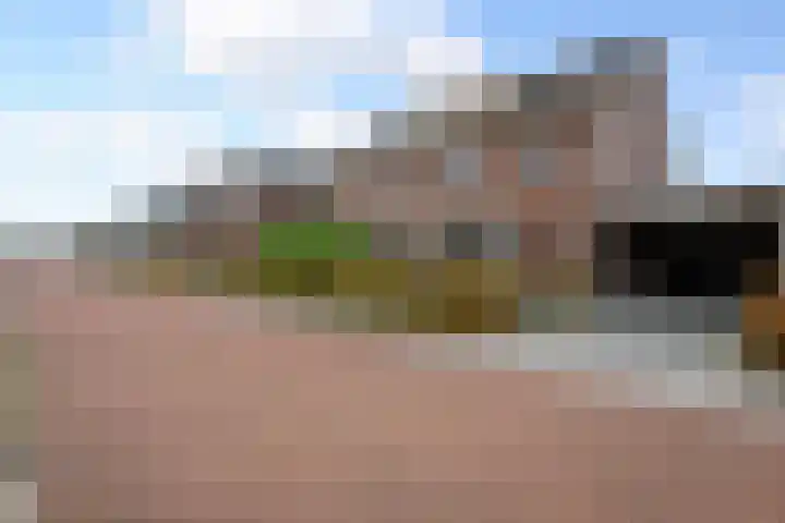 Moonenlaan 66 Hardenberg thumbnail 53